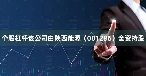 个股杠杆该公司由陕西能源（001286）全资持股