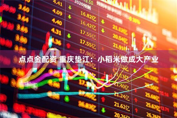 点点金配资 重庆垫江：小稻米做成大产业