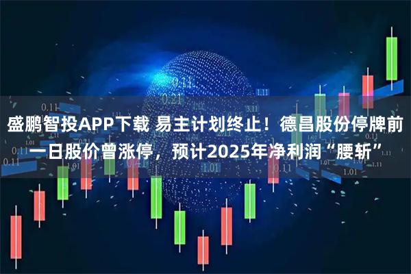 盛鹏智投APP下载 易主计划终止！德昌股份停牌前一日股价曾涨停，预计2025年净利润“腰斩”